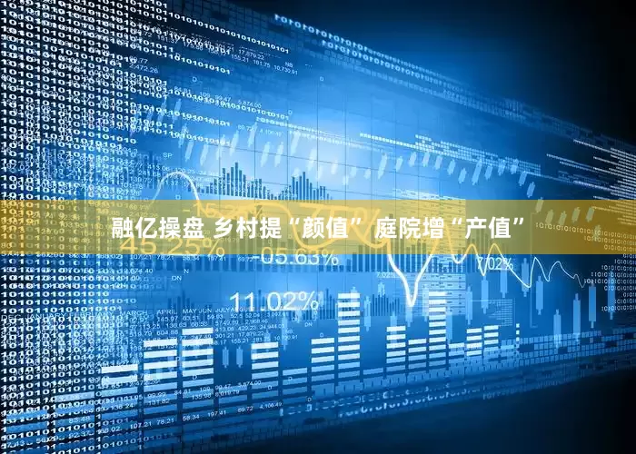 融亿操盘 乡村提“颜值” 庭院增“产值”