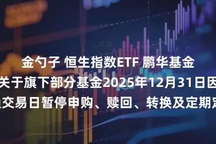 金勺子 恒生指数ETF 鹏华基金管理有限公司关于旗下部分基金2025年12月31日因非港股通交易日暂停申购、赎回、转换及定期定额投资业务的提示性公告